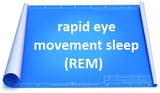 REM sleep stage 5 sleep