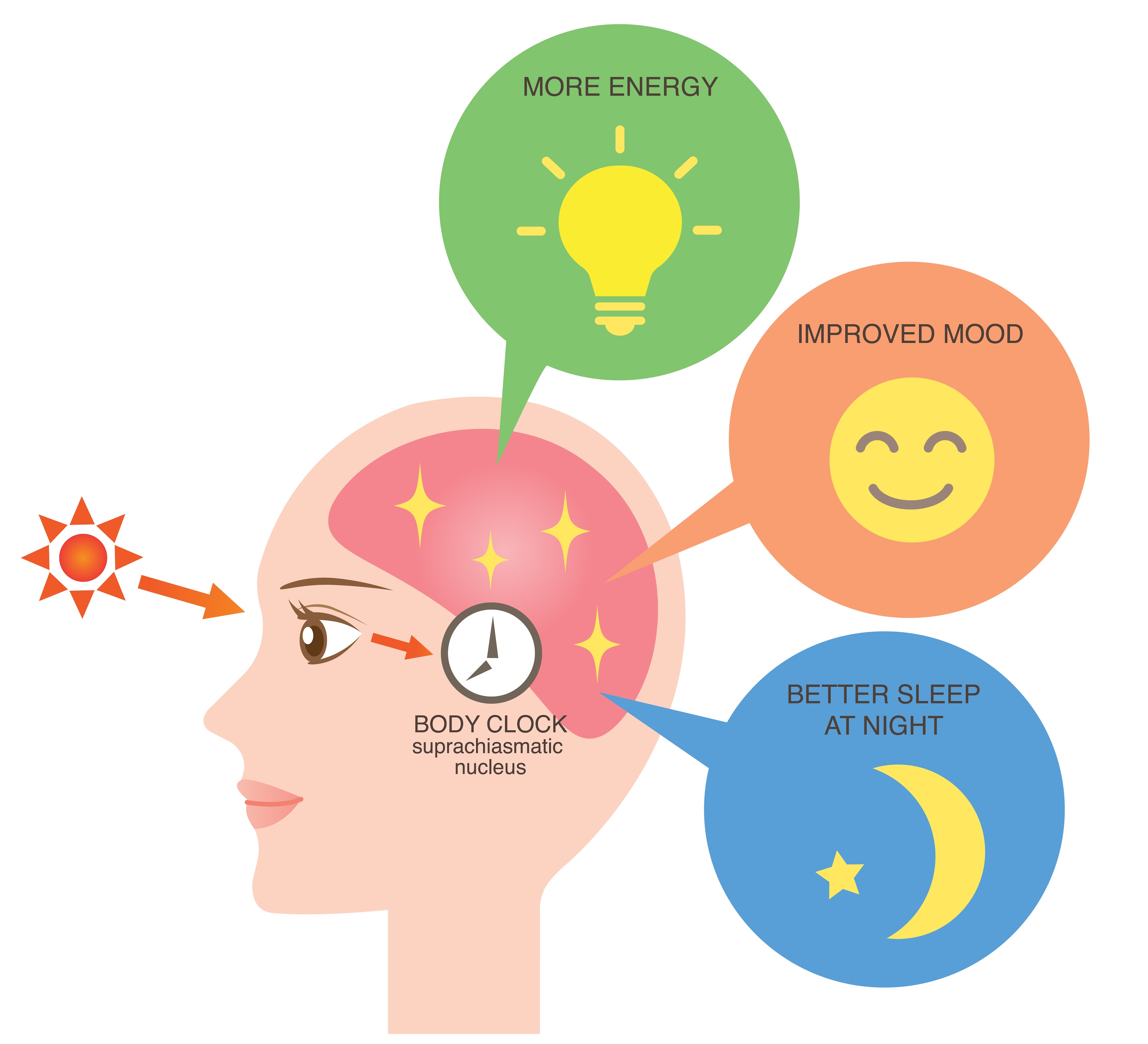 Using light therapy to stay awake during the day
