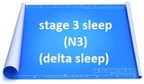 stage 3 sleep deep sleep delta sleep