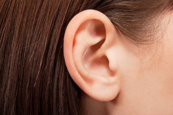 ear.jpg